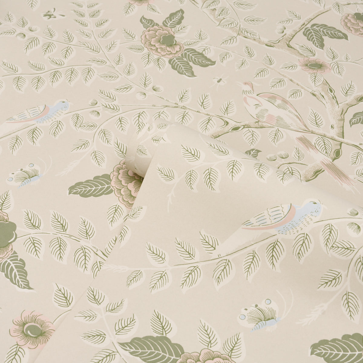 Purchase 5017541 | Tole Bird, Petal - Schumacher Wallpaper