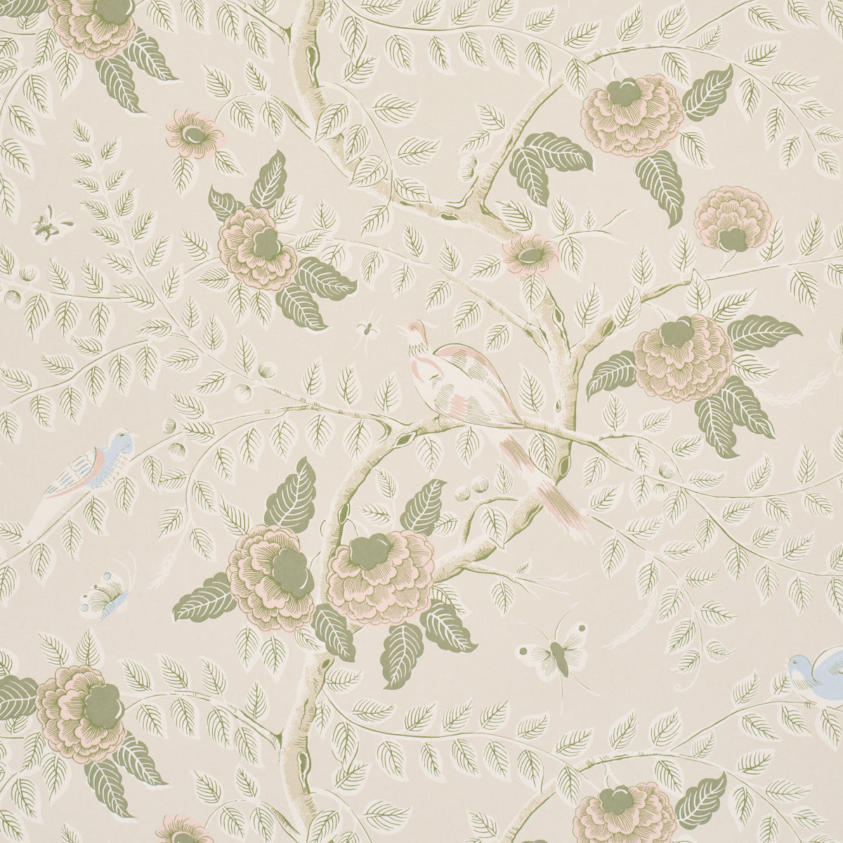 Purchase 5017541 | Tole Bird, Petal - Schumacher Wallpaper