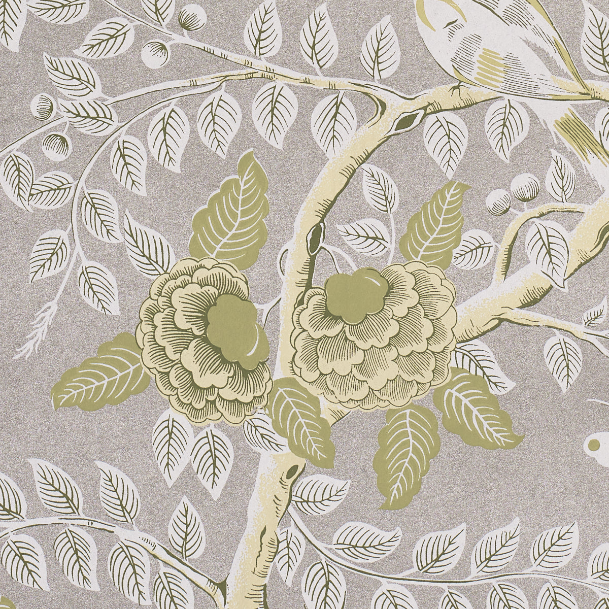 Purchase 5017542 | Tole Bird, Spring - Schumacher Wallpaper