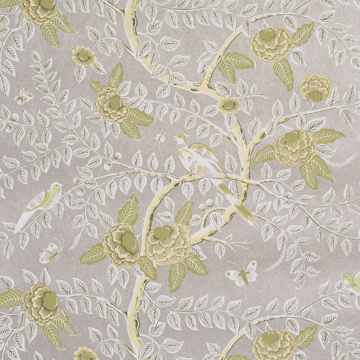 Purchase 5017542 | Tole Bird, Spring - Schumacher Wallpaper