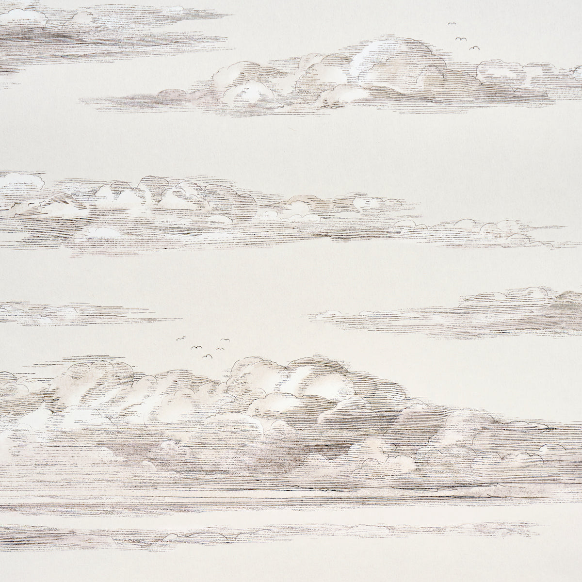 Purchase 5017582 | Mr. Darcy'S Clouds, Grisaille - Schumacher Wallpaper