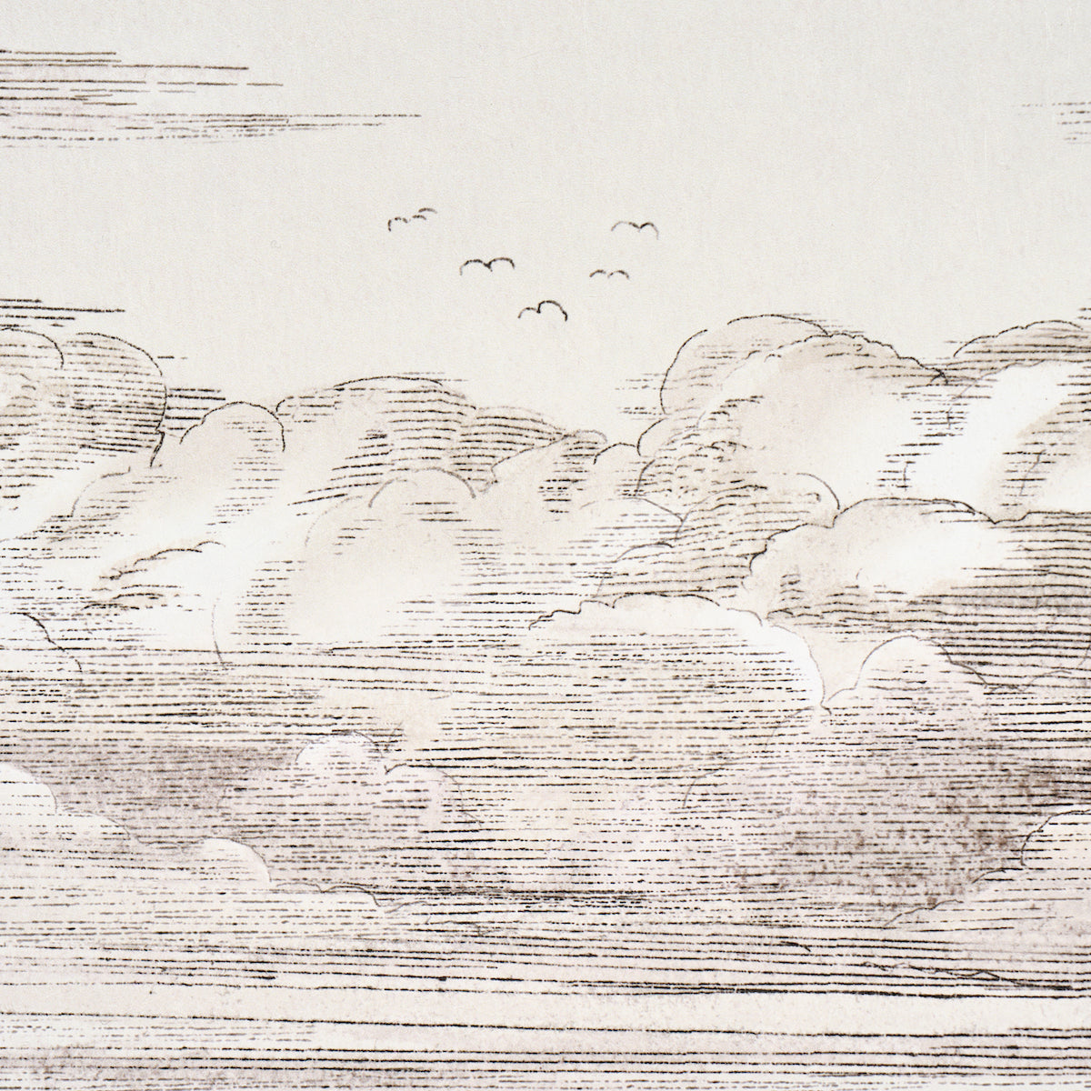 Purchase 5017582 | Mr. Darcy'S Clouds, Grisaille - Schumacher Wallpaper