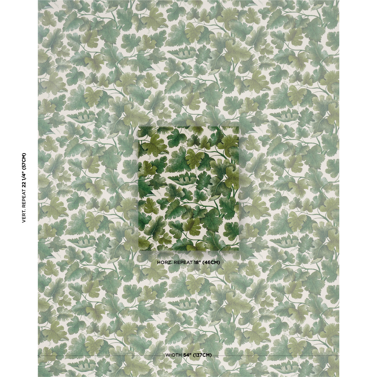 Purchase 5017730 | Edinburgh Vine, Moss - Schumacher Wallpaper