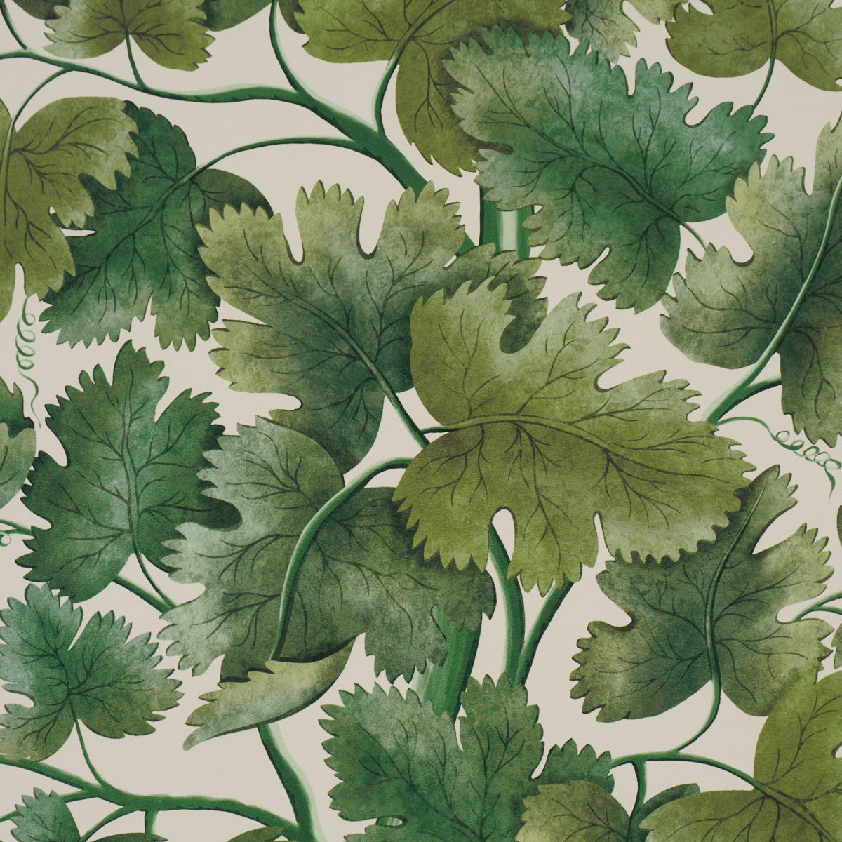 Purchase 5017730 | Edinburgh Vine, Moss - Schumacher Wallpaper