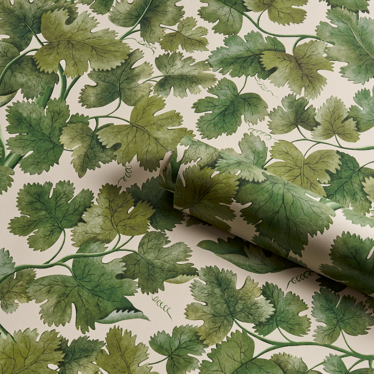 Purchase 5017730 | Edinburgh Vine, Moss - Schumacher Wallpaper