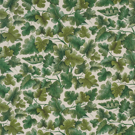 Purchase 5017730 | Edinburgh Vine, Moss - Schumacher Wallpaper
