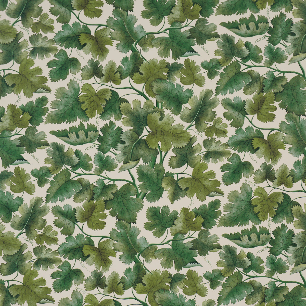 Purchase 5017730 | Edinburgh Vine, Moss - Schumacher Wallpaper