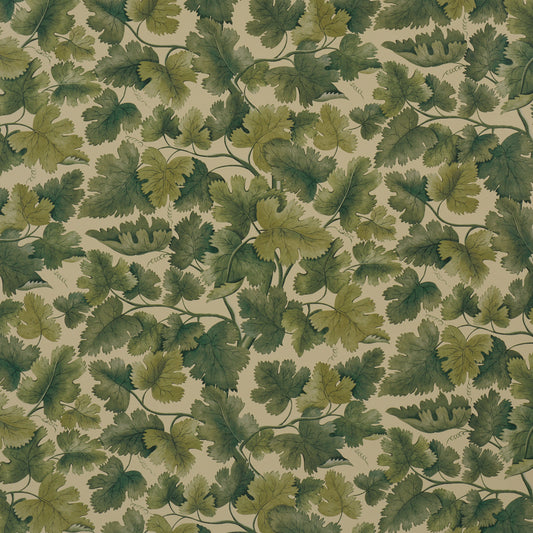 Purchase 5017731 | Edinburgh Vine, Forest - Schumacher Wallpaper