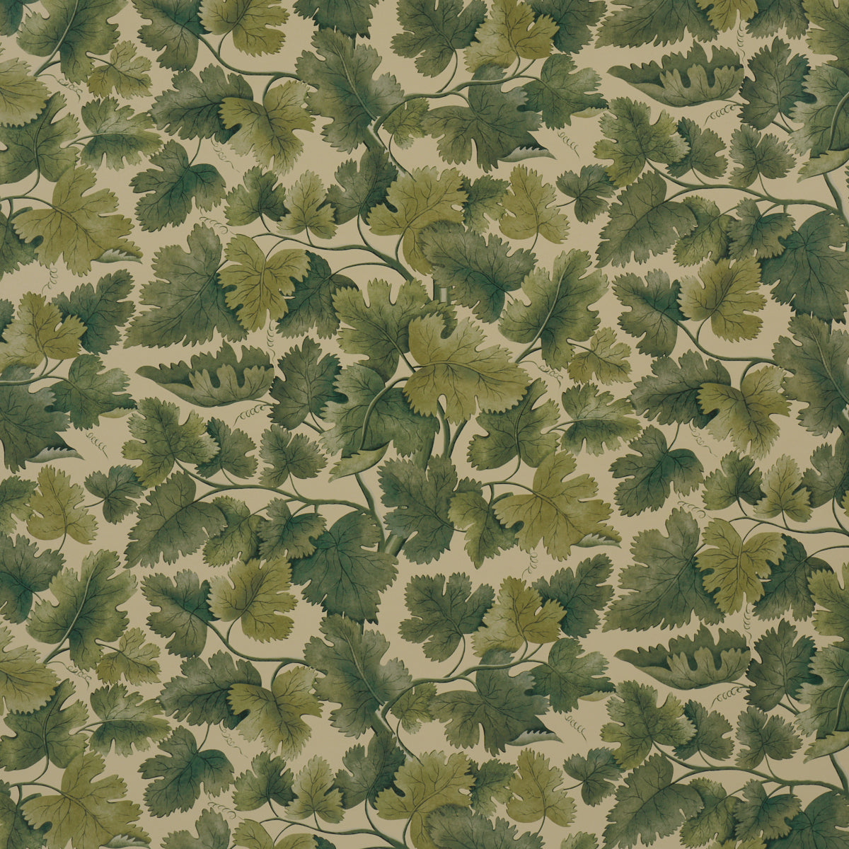 Purchase 5017731 | Edinburgh Vine, Forest - Schumacher Wallpaper