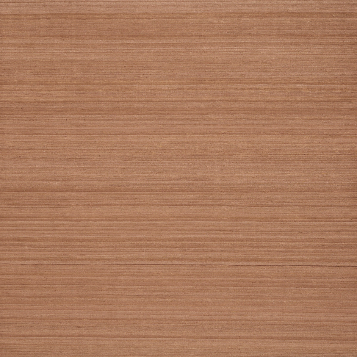 Purchase 5017781 | Shaded Silk, Ginger - Schumacher Wallpaper