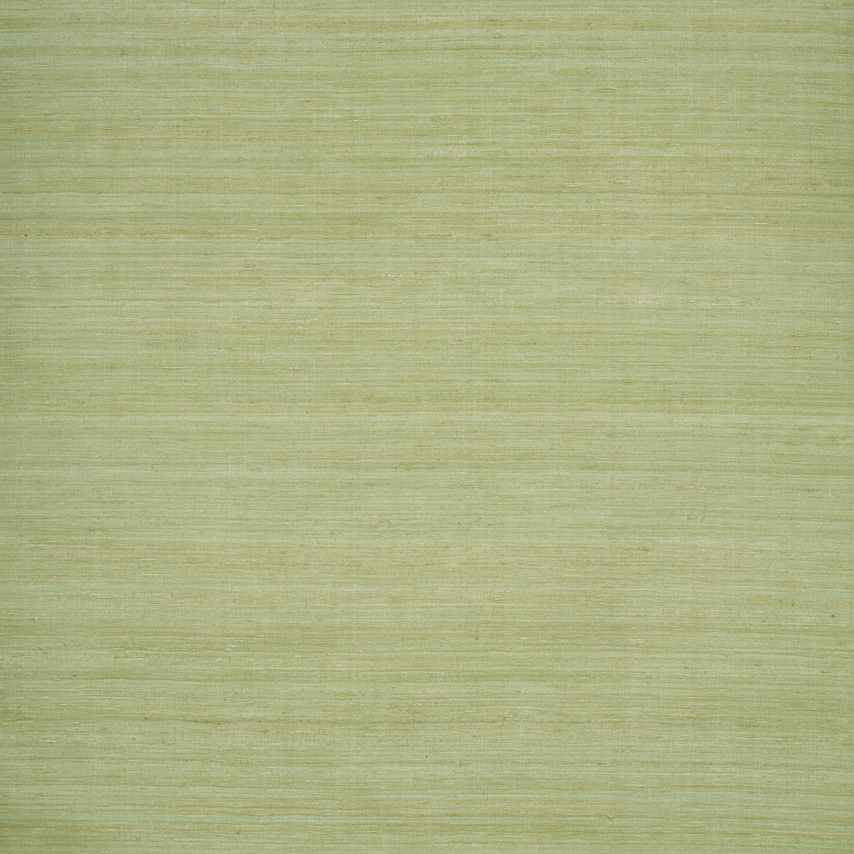 Purchase 5017782 | Shaded Silk, Celery - Schumacher Wallpaper