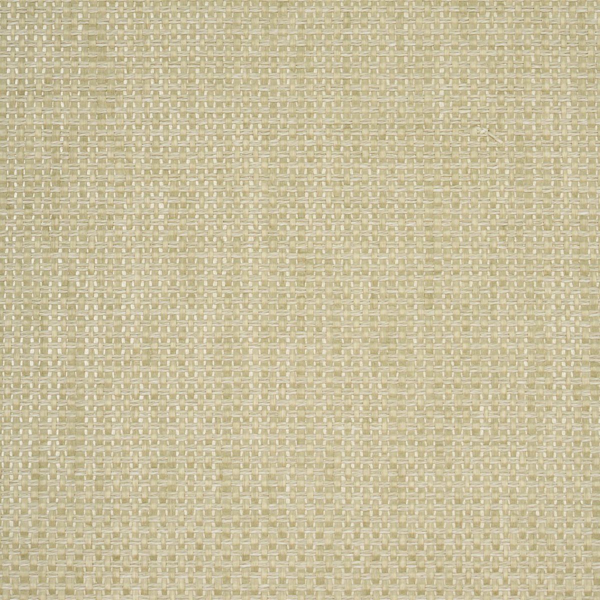 Purchase 5017802 | Gami Paperweave, Moss - Schumacher Wallpaper