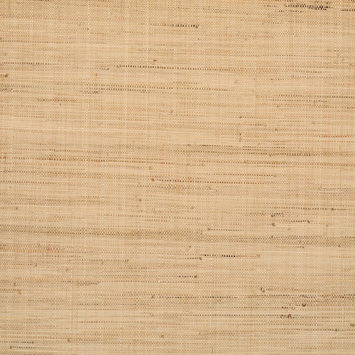 Purchase 5017810 | Namu Raffia & Abaca Weave, Light Natural - Schumacher Wallpaper