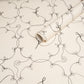 Purchase 5017852 | Broderie, Black & Ivory - Schumacher Wallpaper