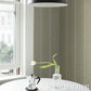Purchase 5017901 | La Jolla, Olive - Schumacher Wallpaper