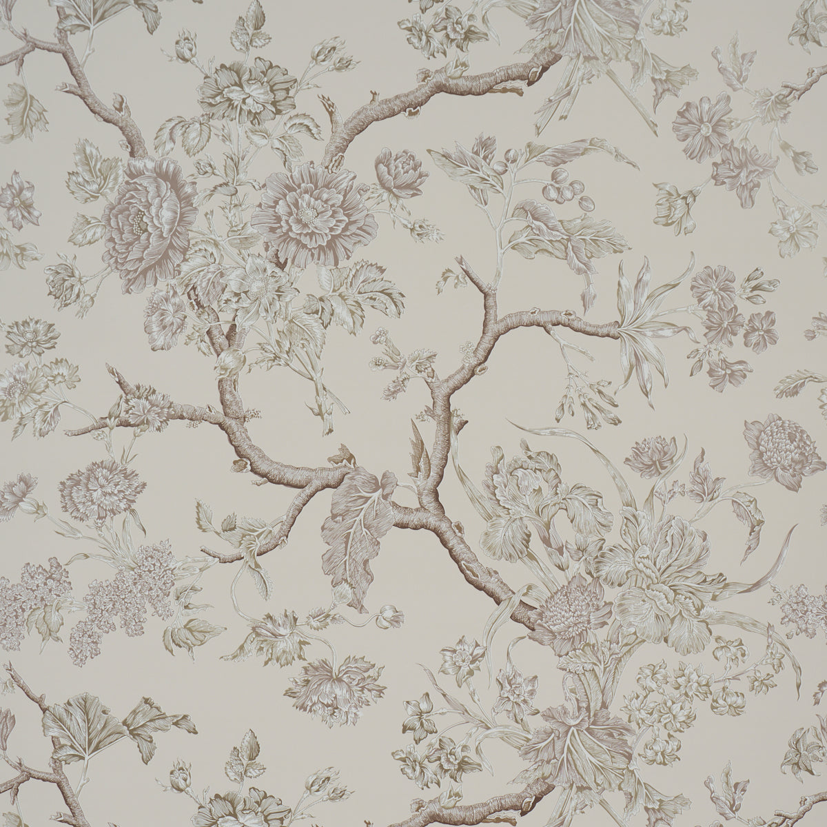 Purchase 5017972 | Inverness Garden, Ivory - Schumacher Wallpaper