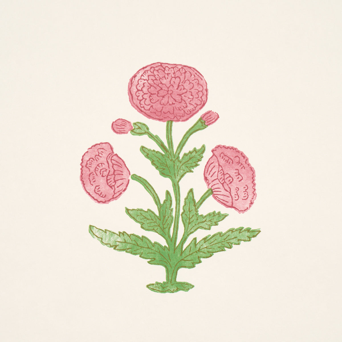 Purchase 5017980 | Poppy Print, Rose & Grass - Schumacher Wallpaper