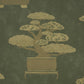 Purchase 5018000 | Bonsai Tree, Olive - Schumacher Wallpaper