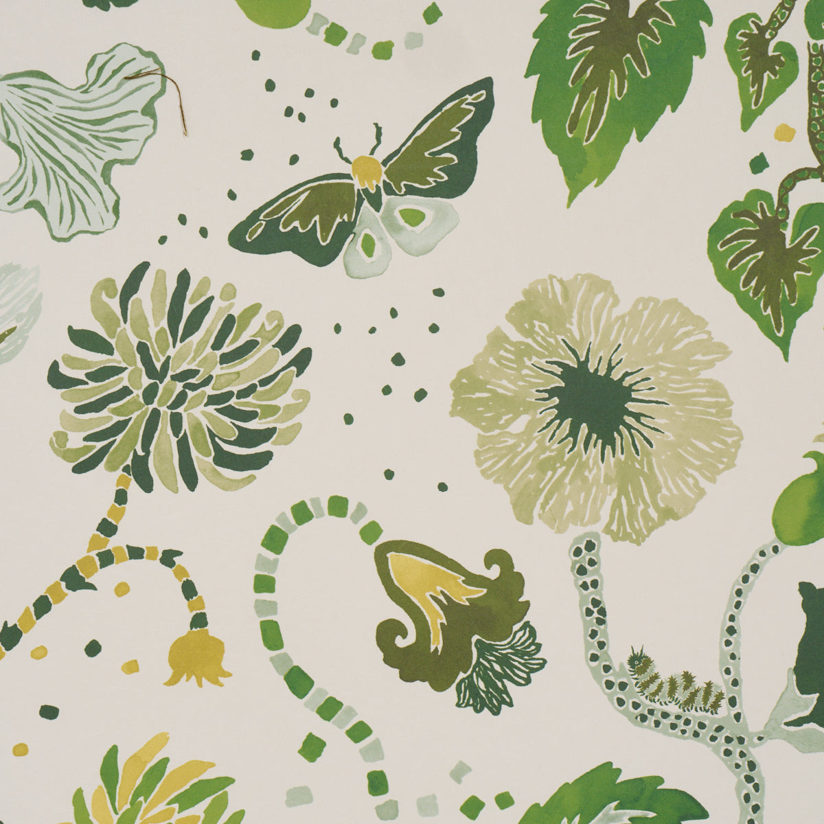 Purchase 5018061 | Gloriette, Green - Schumacher Wallpaper