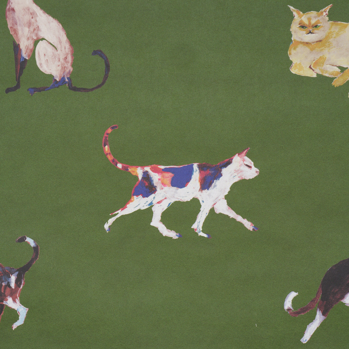 Purchase 5018070 | Cats, Green - Schumacher Wallpaper