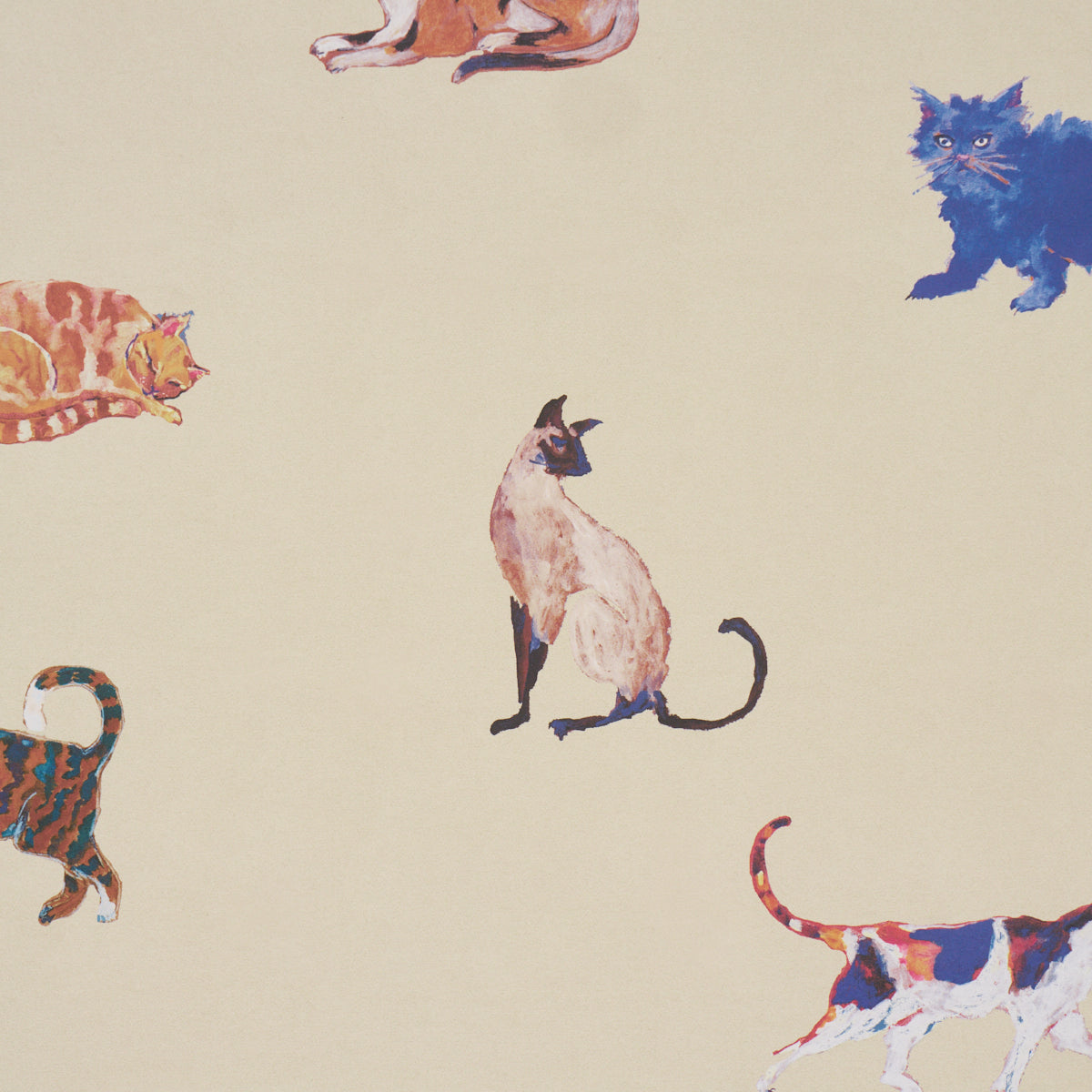 Purchase 5018071 | Cats, Cream - Schumacher Wallpaper