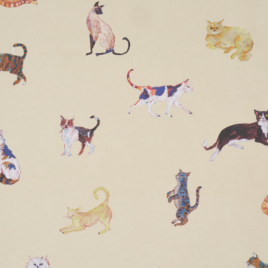 Purchase 5018071 | Cats, Cream - Schumacher Wallpaper
