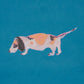 Purchase 5018081 | Dogs, Cerulean - Schumacher Wallpaper