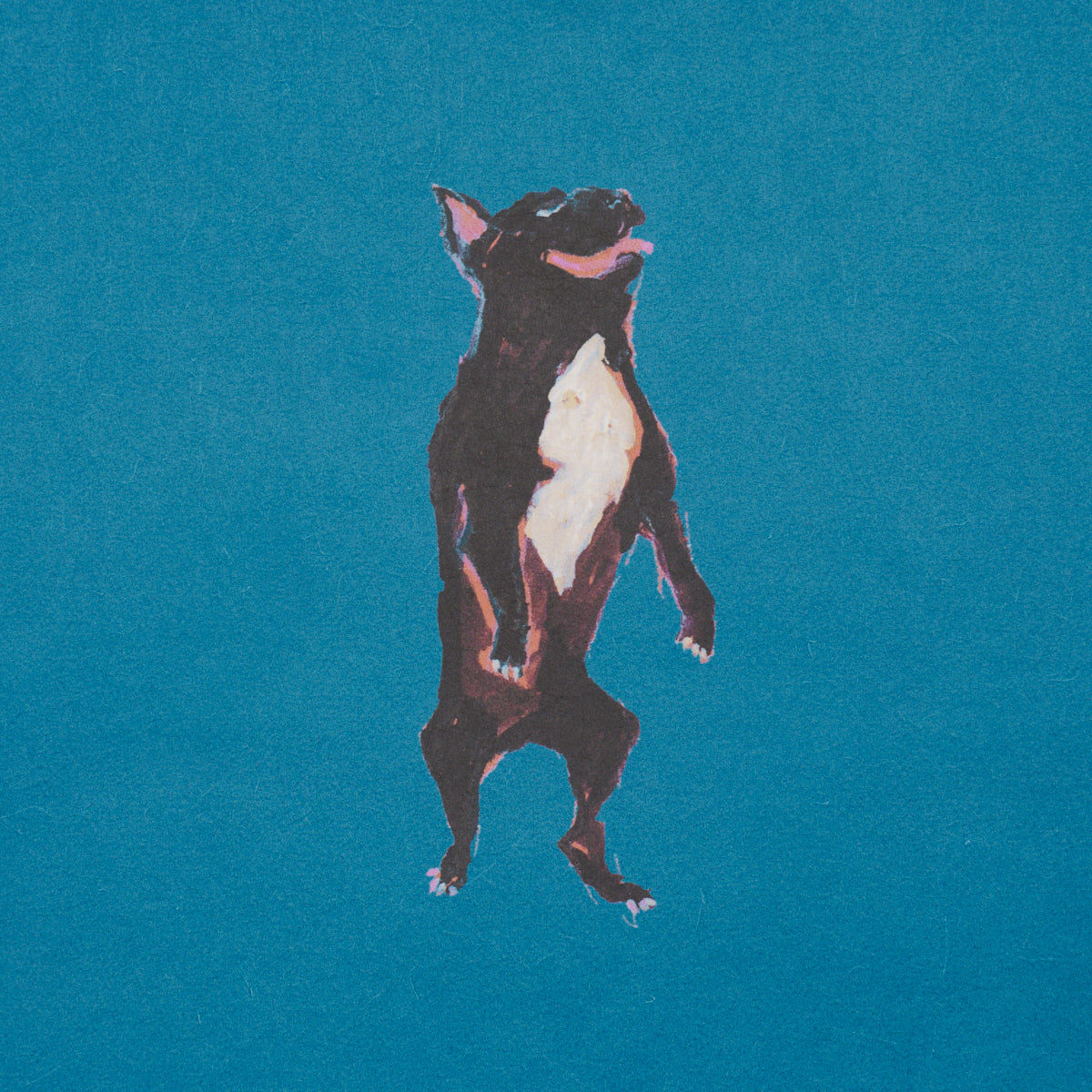Purchase 5018081 | Dogs, Cerulean - Schumacher Wallpaper