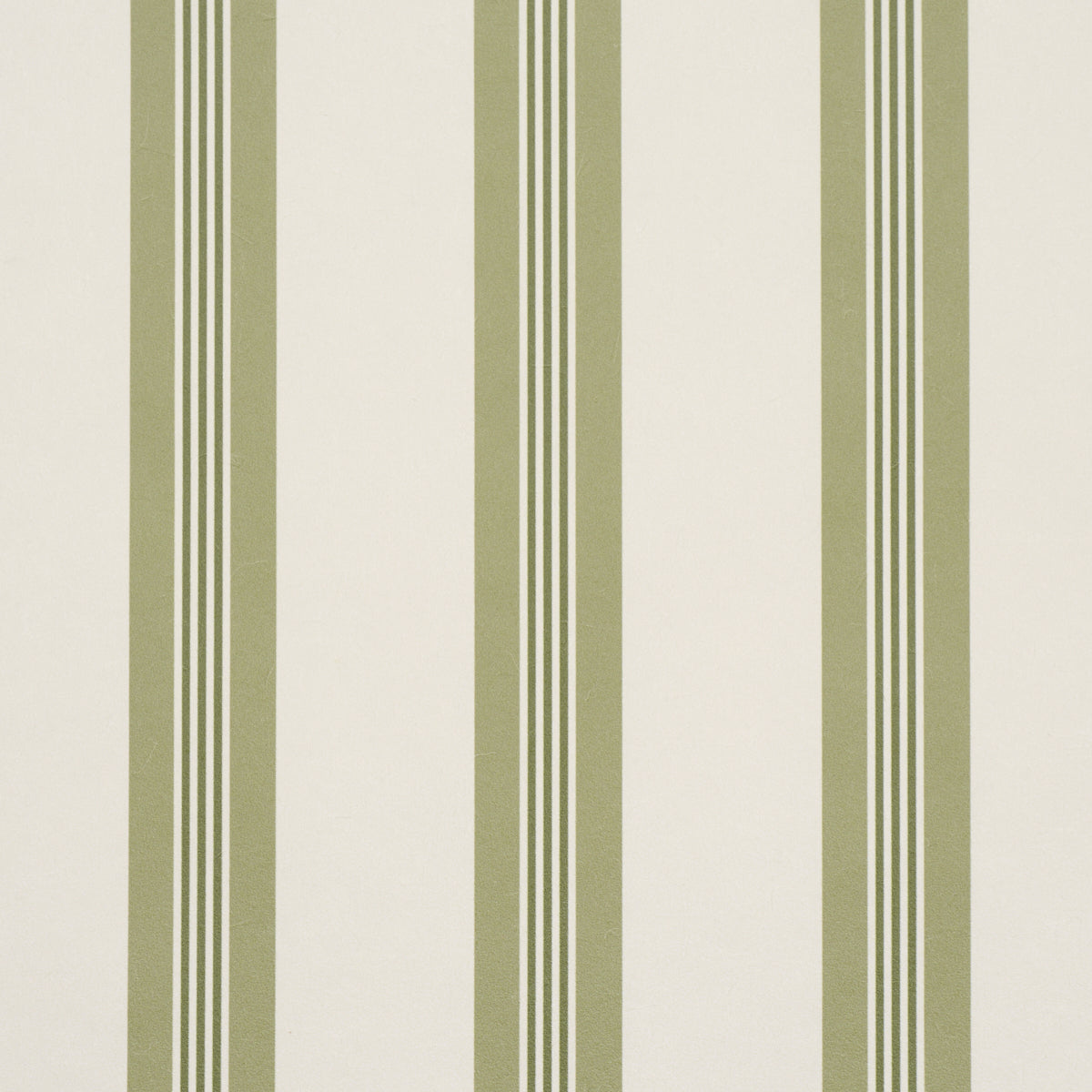 Purchase 5018172 | Chatham Stripe, Leaf - Schumacher Wallpaper
