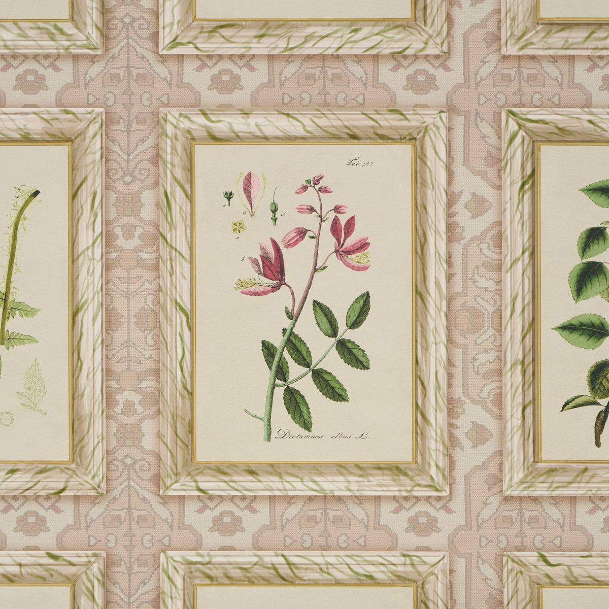 Purchase 5018310 | Garden'S Trust, Blushed Oyster - Schumacher Wallpaper