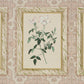 Purchase 5018310 | Garden'S Trust, Blushed Oyster - Schumacher Wallpaper
