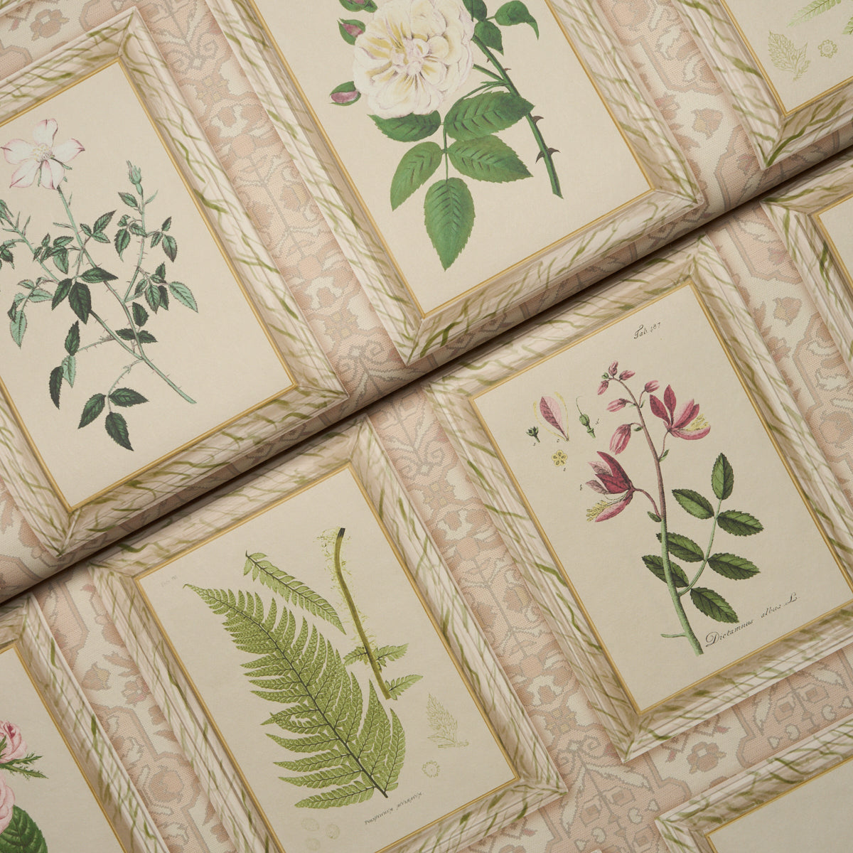 Purchase 5018310 | Garden'S Trust, Blushed Oyster - Schumacher Wallpaper