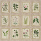 Purchase 5018310 | Garden'S Trust, Blushed Oyster - Schumacher Wallpaper