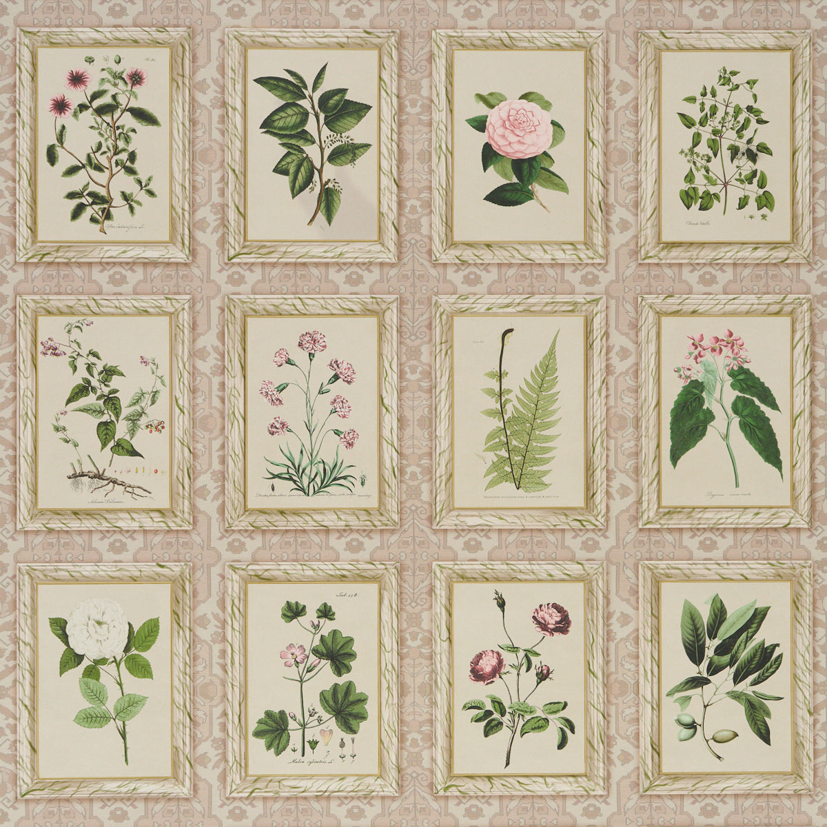 Purchase 5018310 | Garden'S Trust, Blushed Oyster - Schumacher Wallpaper