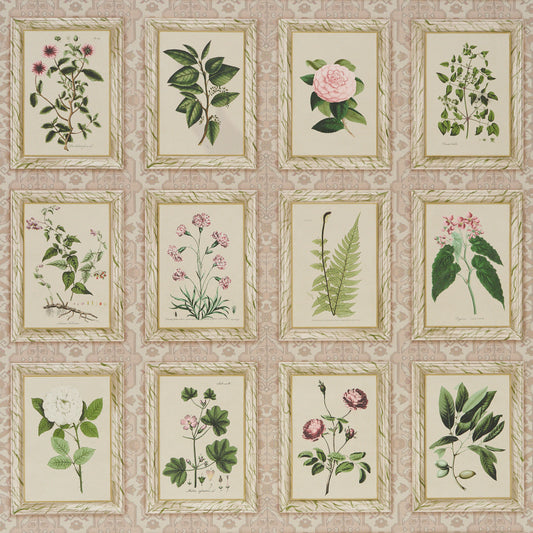 Purchase 5018310 | Garden'S Trust, Blushed Oyster - Schumacher Wallpaper