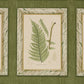 Purchase 5018311 | Garden'S Trust, English Green - Schumacher Wallpaper
