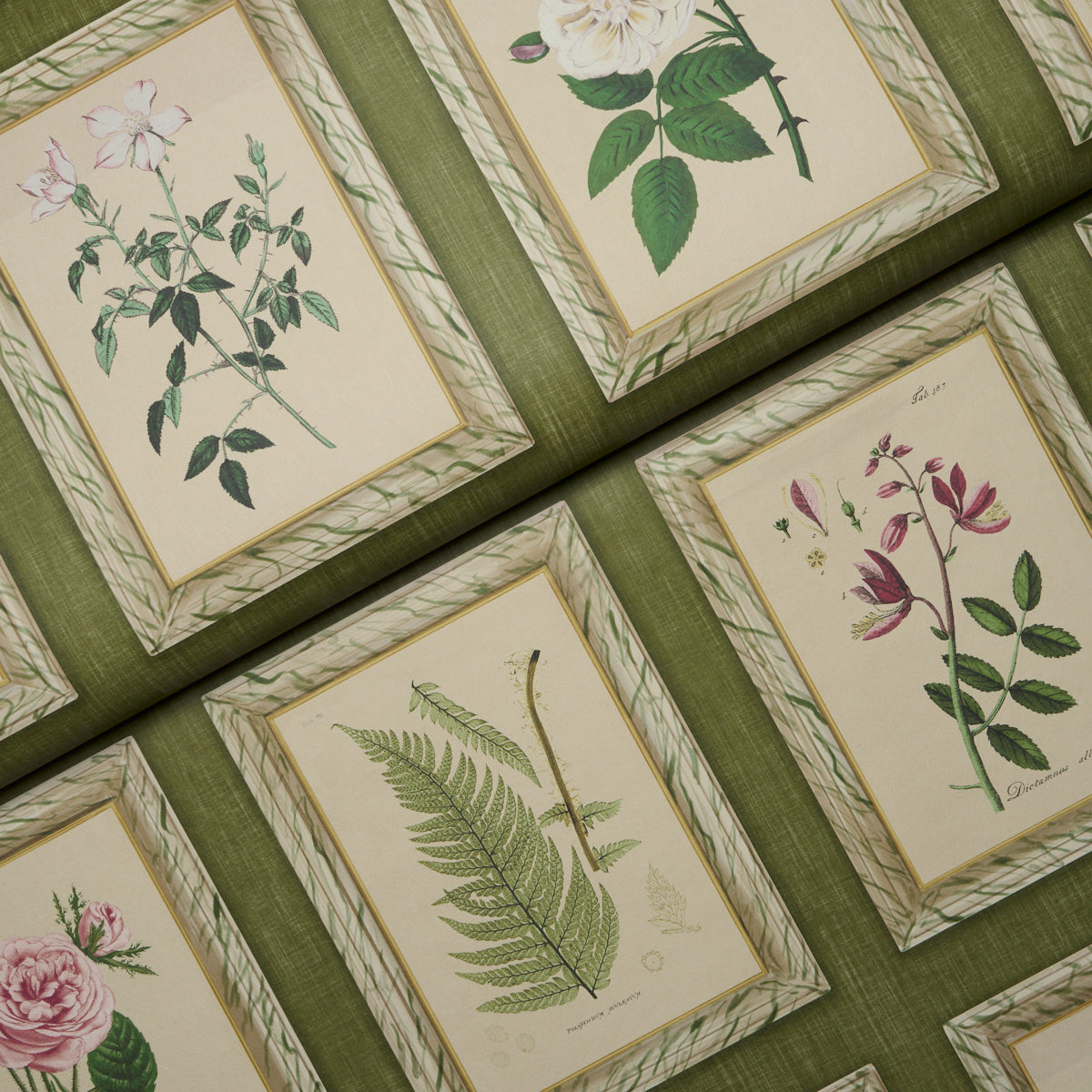Purchase 5018311 | Garden'S Trust, English Green - Schumacher Wallpaper
