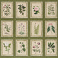 Purchase 5018311 | Garden'S Trust, English Green - Schumacher Wallpaper