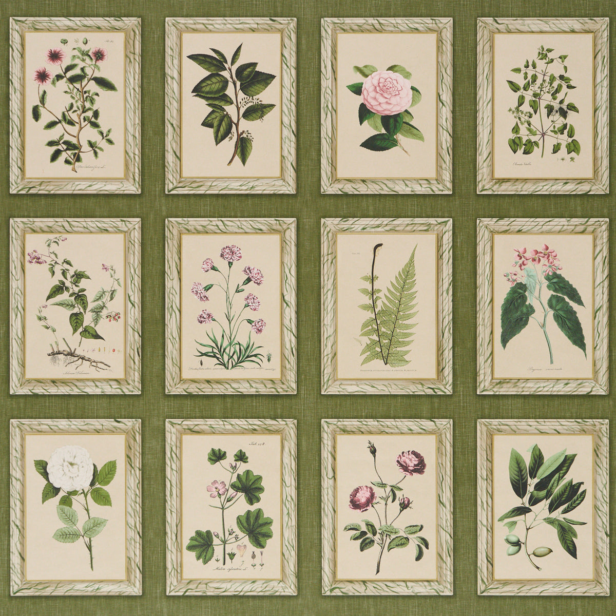 Purchase 5018311 | Garden'S Trust, English Green - Schumacher Wallpaper