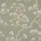Purchase 5018330 | Hinata, Sage - Schumacher Wallpaper