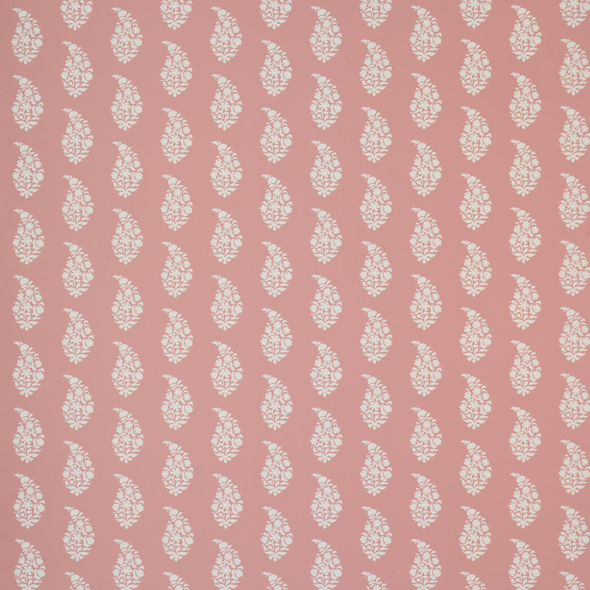 Purchase 5018490 | Kaia Paisley, Pink - Schumacher Wallpaper