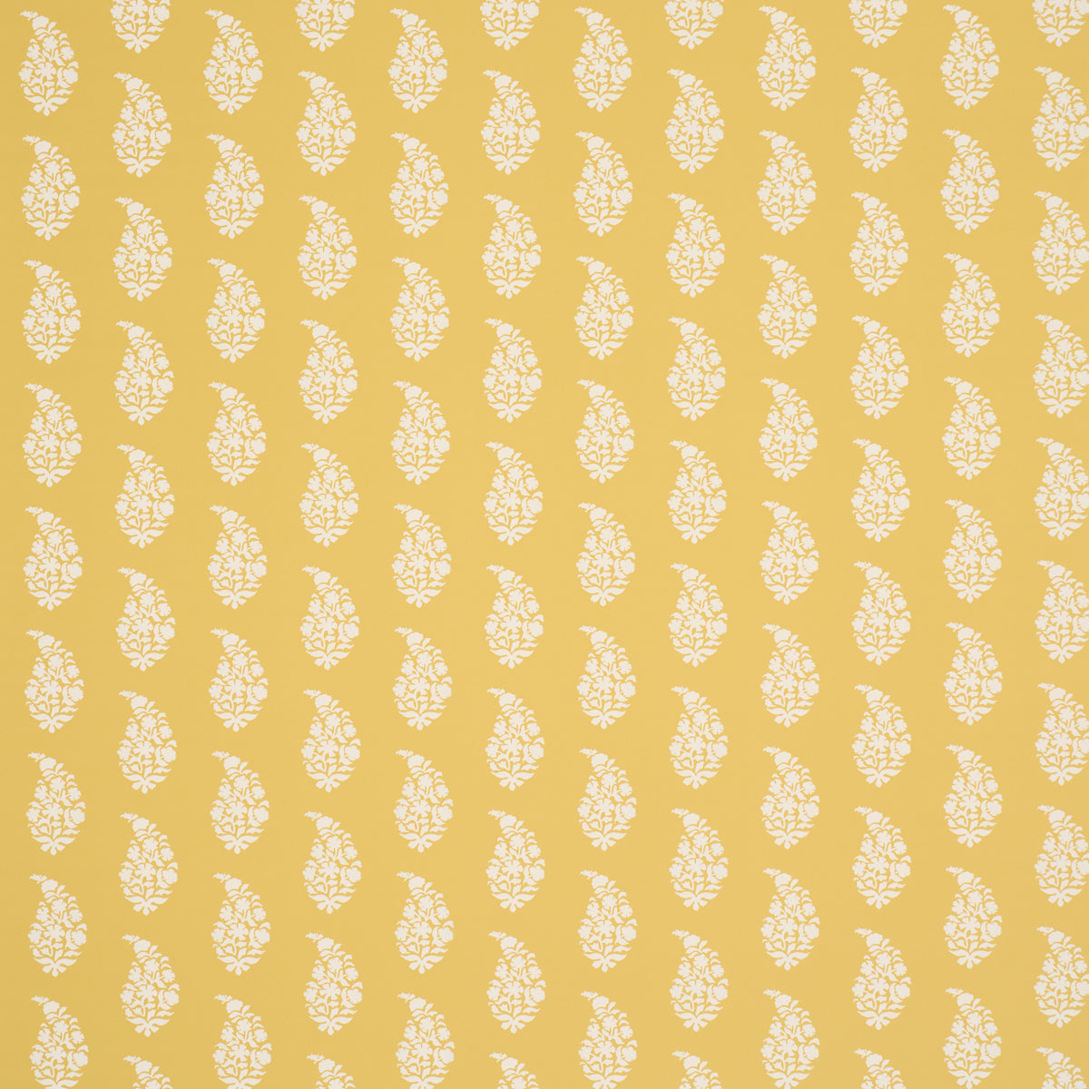 Purchase 5018492 | Kaia Paisley, Yellow - Schumacher Wallpaper