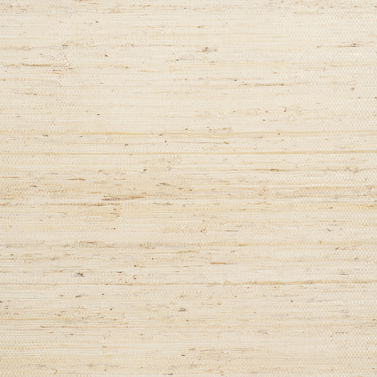 Purchase 5018510 | Han Arrowroot, Pearl - Schumacher Wallpaper