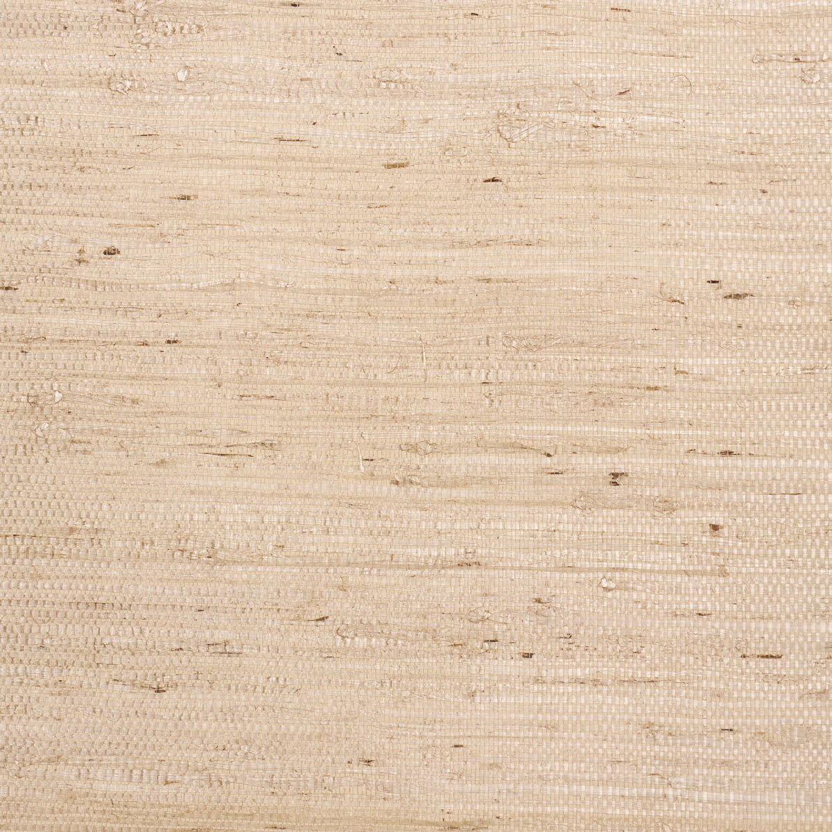 Purchase 5018511 | Han Arrowroot, Taupe - Schumacher Wallpaper