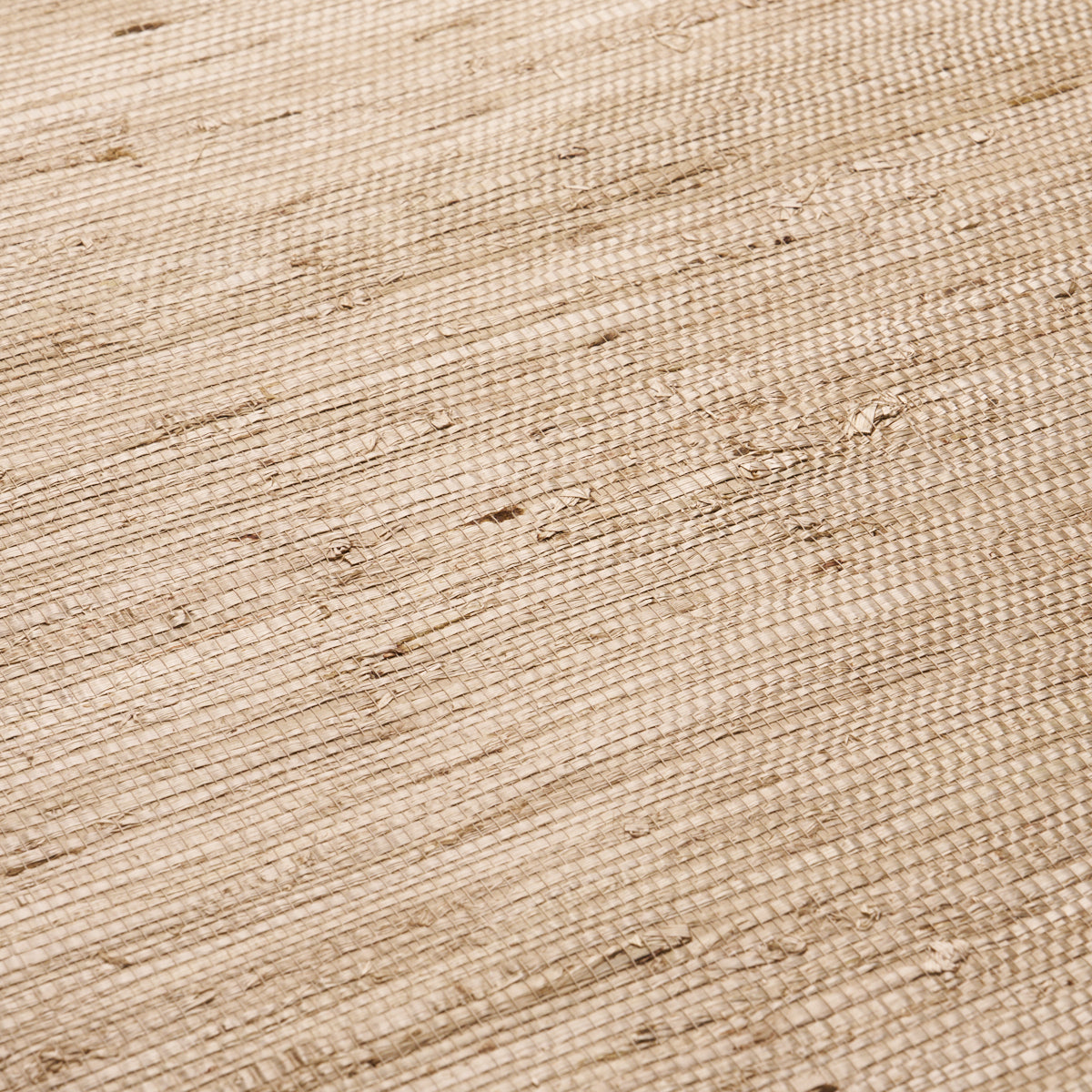 Purchase 5018511 | Han Arrowroot, Taupe - Schumacher Wallpaper