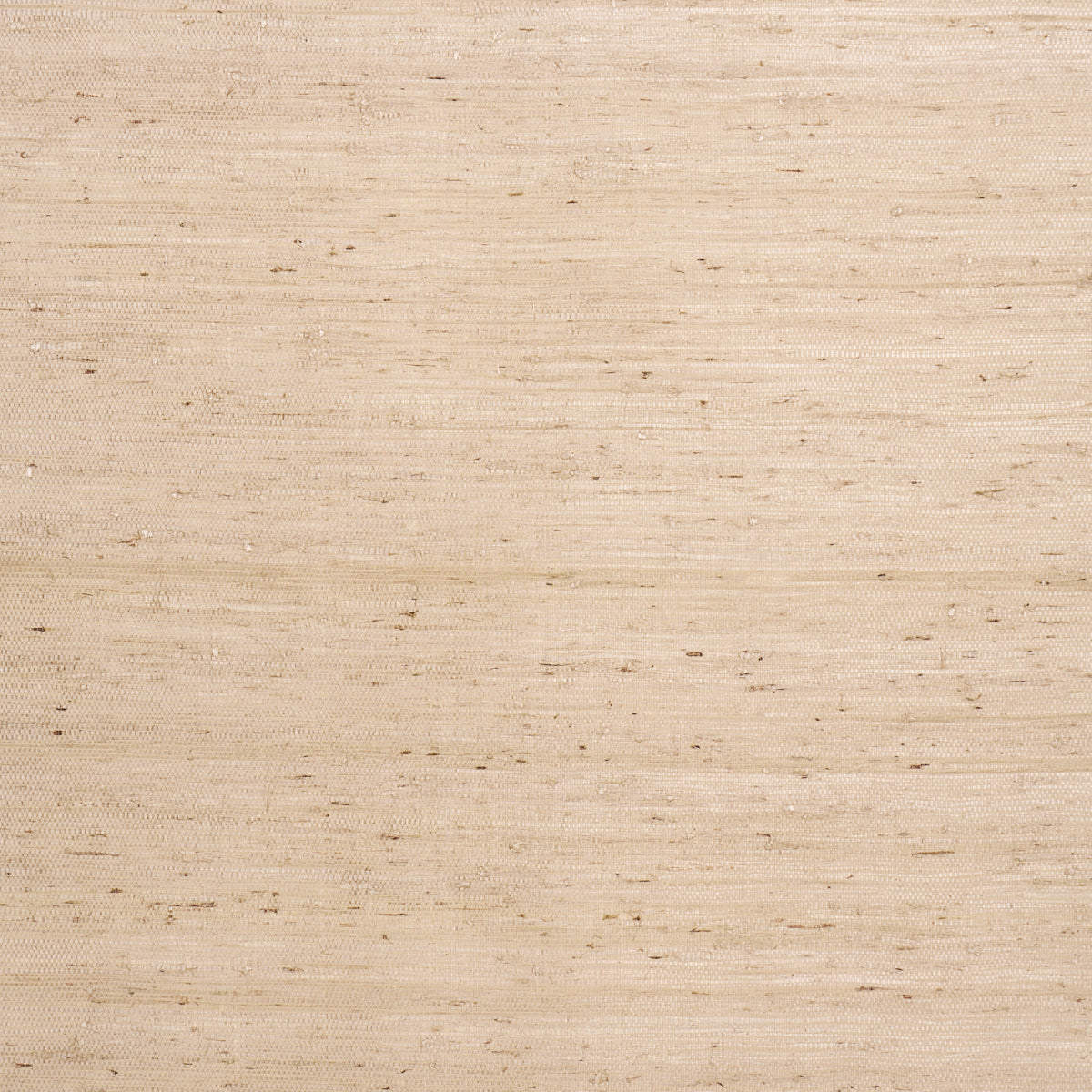 Purchase 5018511 | Han Arrowroot, Taupe - Schumacher Wallpaper