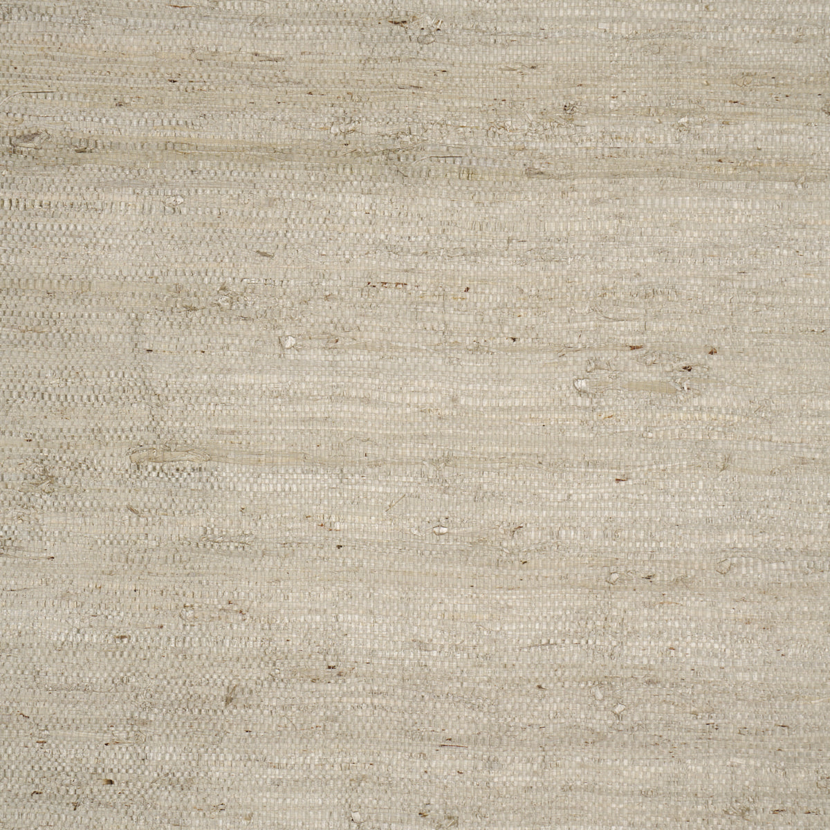 Purchase 5018512 | Han Arrowroot, Silver - Schumacher Wallpaper
