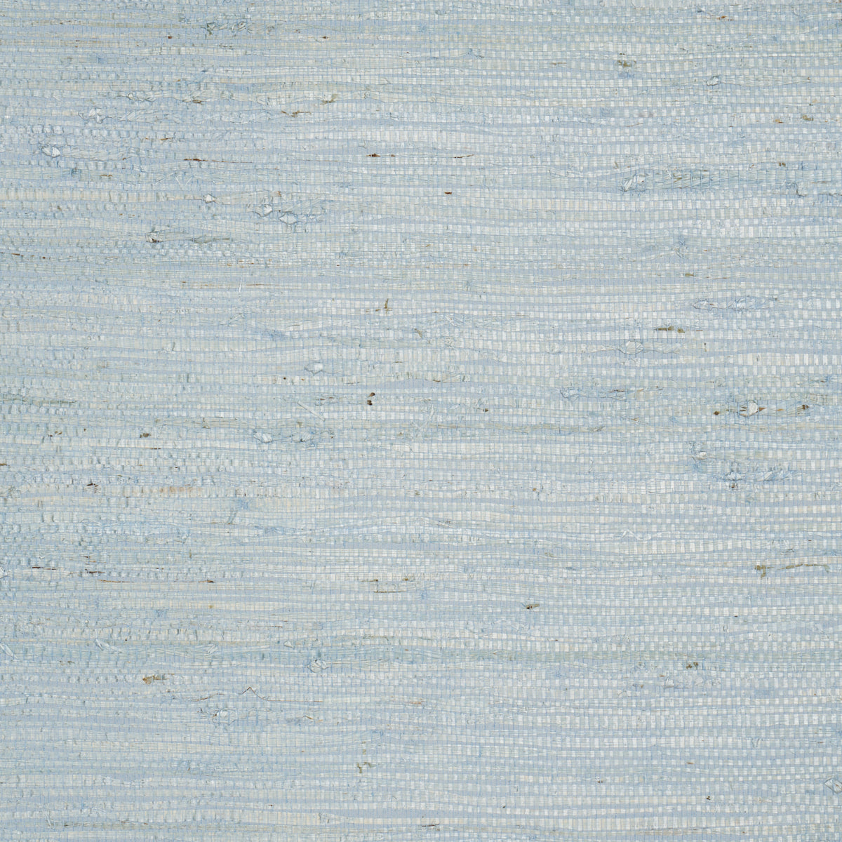 Purchase 5018513 | Han Arrowroot, Mist - Schumacher Wallpaper