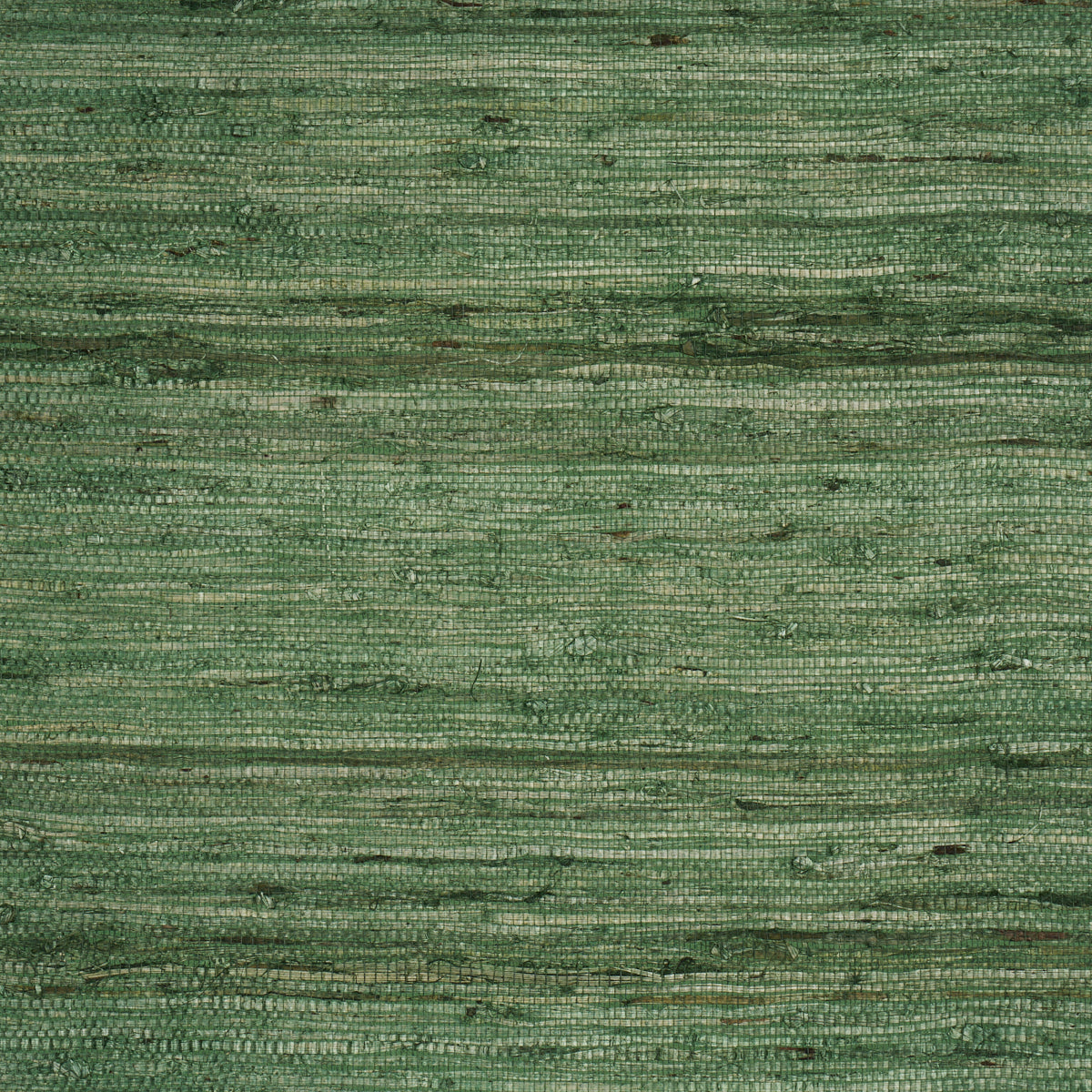 Purchase 5018516 | Han Arrowroot, Grass - Schumacher Wallpaper