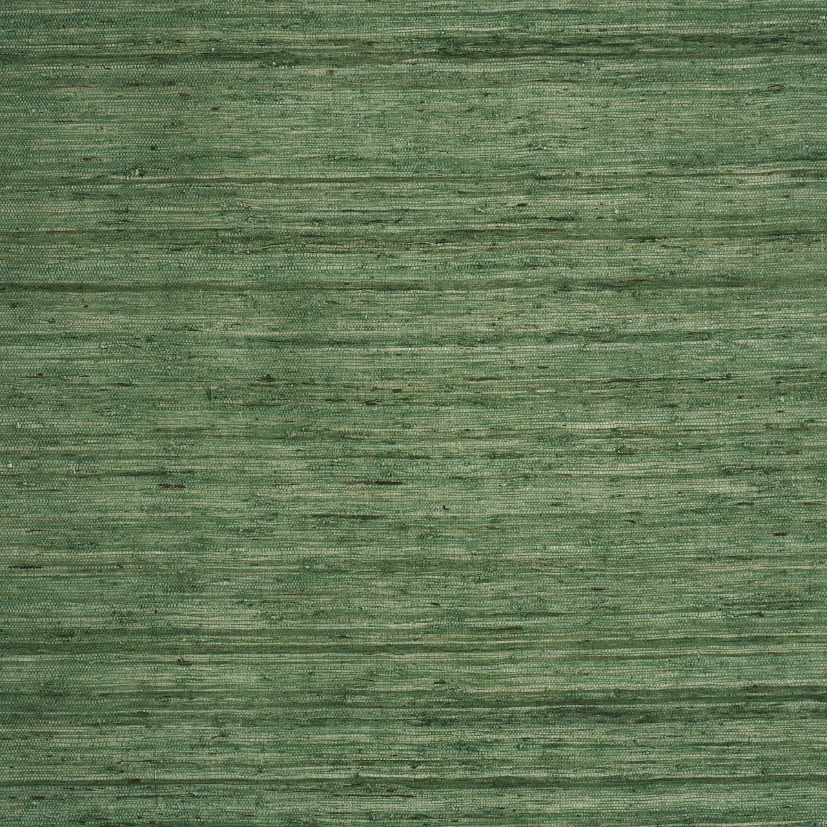 Purchase 5018516 | Han Arrowroot, Grass - Schumacher Wallpaper